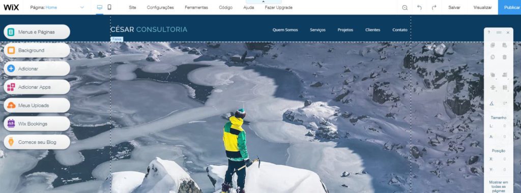 Wix or WordPress - What is the best platform for my site? 2 montreal web design