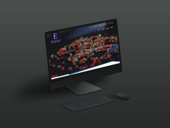 ottawa web agency portfolio ferrette02